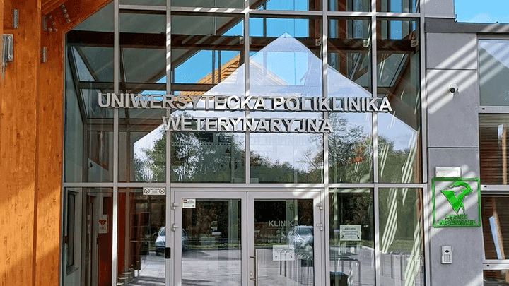 Fallback image for video